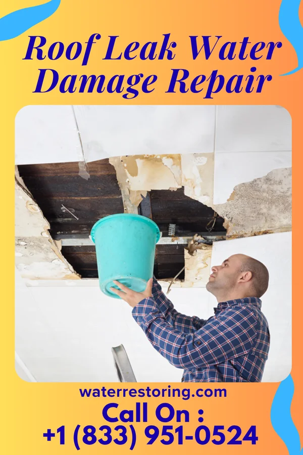 Roof Leak Water Damage Repair in Moody, TX